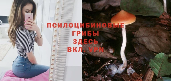 apvp Кинешма