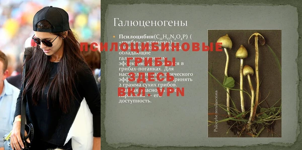 кокс Киреевск