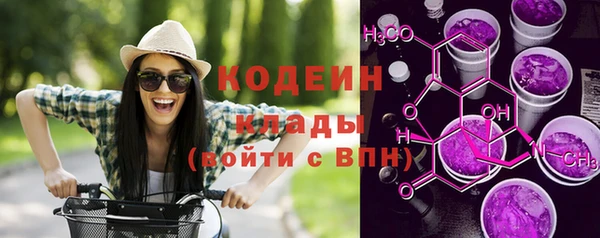 прущие грибы Гвардейск